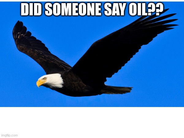 DID SOMEONE SAY OIL?? | image tagged in freedom | made w/ Imgflip meme maker