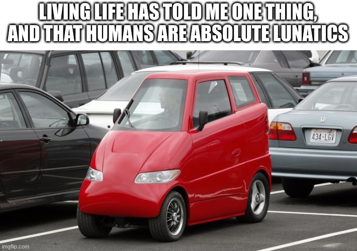 LIVING LIFE HAS TOLD ME ONE THING, AND THAT HUMANS ARE ABSOLUTE LUNATICS | image tagged in lunatic,funny,memes,cars,wtf,ugly | made w/ Imgflip meme maker
