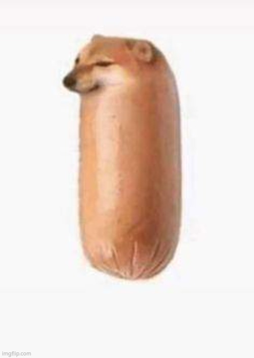 upvote = 1 sausage-dog for you | image tagged in funny,memes,meme,dog,sausage | made w/ Imgflip meme maker