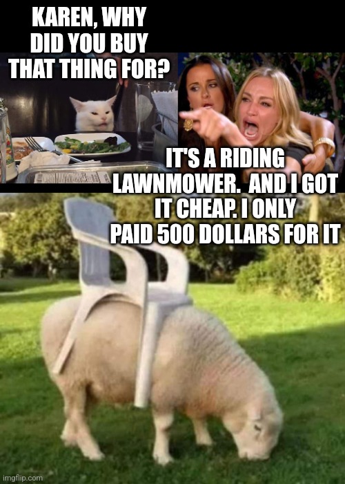 KAREN, WHY DID YOU BUY THAT THING FOR? IT'S A RIDING LAWNMOWER.  AND I GOT IT CHEAP. I ONLY PAID 500 DOLLARS FOR IT | image tagged in smudge the cat | made w/ Imgflip meme maker