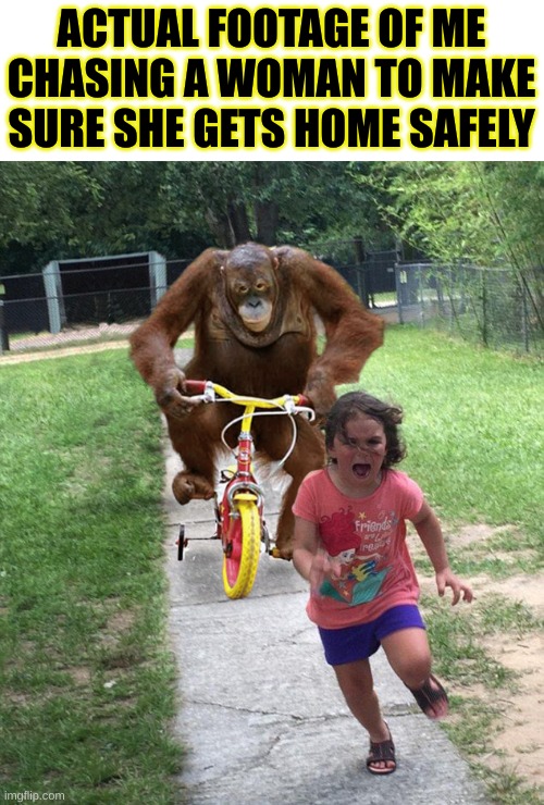 Don't look at me like that, I was just being a neighbor- | ACTUAL FOOTAGE OF ME CHASING A WOMAN TO MAKE SURE SHE GETS HOME SAFELY | image tagged in orangutan chasing girl on a tricycle,goofy ahh,funny memes,fun,funny | made w/ Imgflip meme maker