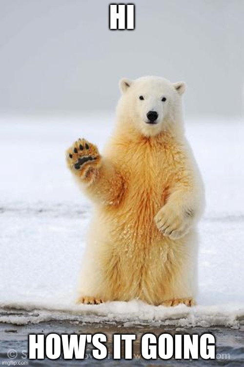 hello polar bear | HI; HOW'S IT GOING | image tagged in hello polar bear | made w/ Imgflip meme maker