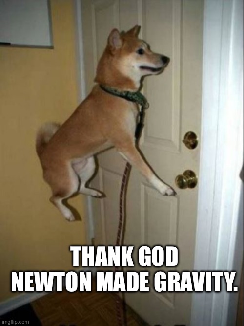 Doge Float | THANK GOD NEWTON MADE GRAVITY. | image tagged in doge float | made w/ Imgflip meme maker