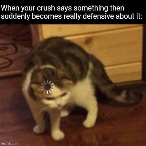 WHAT DOES IT MEAN | When your crush says something then suddenly becomes really defensive about it: | image tagged in loading cat,memes,challenge,when your crush,guys help me | made w/ Imgflip meme maker
