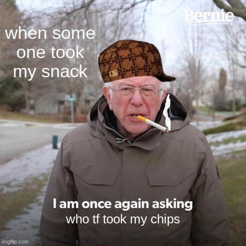 when someone took my snaks | when some one took my snack; who tf took my chips | image tagged in memes,bernie i am once again asking for your support | made w/ Imgflip meme maker