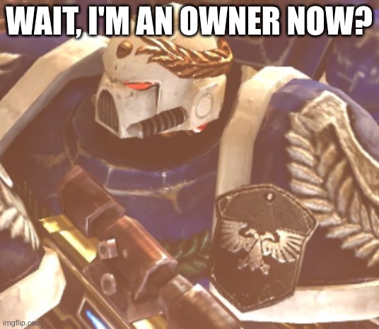 What? | WAIT, I'M AN OWNER NOW? | image tagged in what | made w/ Imgflip meme maker