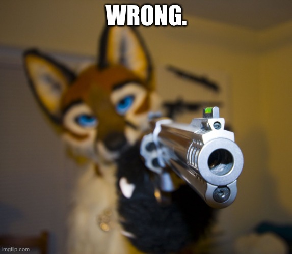 Furry with gun | WRONG. | image tagged in furry with gun | made w/ Imgflip meme maker