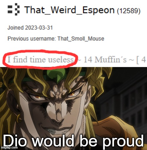 Muda Muda. | Dio would be proud | image tagged in dio's face | made w/ Imgflip meme maker