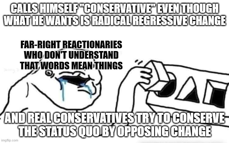 "Regressive" means "returning to a former or less developed state", like an adult who starts acting like a child. Like MAGA. | CALLS HIMSELF "CONSERVATIVE" EVEN THOUGH WHAT HE WANTS IS RADICAL REGRESSIVE CHANGE; FAR-RIGHT REACTIONARIES
WHO DON'T UNDERSTAND
THAT WORDS MEAN THINGS; AND REAL CONSERVATIVES TRY TO CONSERVE
THE STATUS QUO BY OPPOSING CHANGE | image tagged in stupid dumb drooling puzzle,right wing,change,radical,maga,childish | made w/ Imgflip meme maker