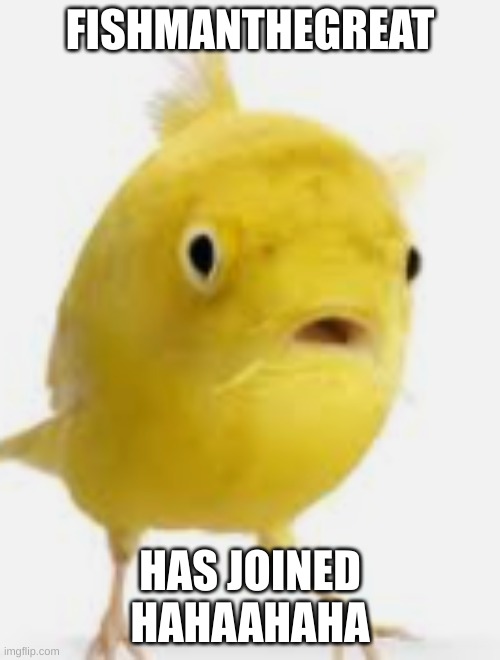 HELLO | FISHMANTHEGREAT; HAS JOINED HAHAAHAHA | image tagged in fish | made w/ Imgflip meme maker