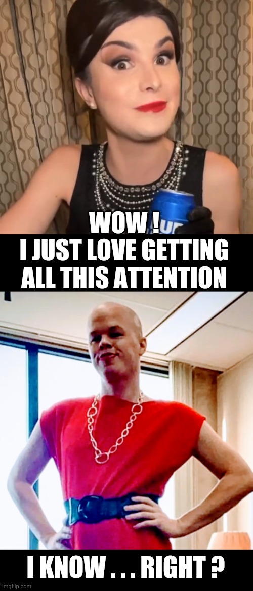 Insecure for the limelight? | WOW !
I JUST LOVE GETTING ALL THIS ATTENTION; I KNOW . . . RIGHT ? | image tagged in leftists,liberals,sam,dylan | made w/ Imgflip meme maker