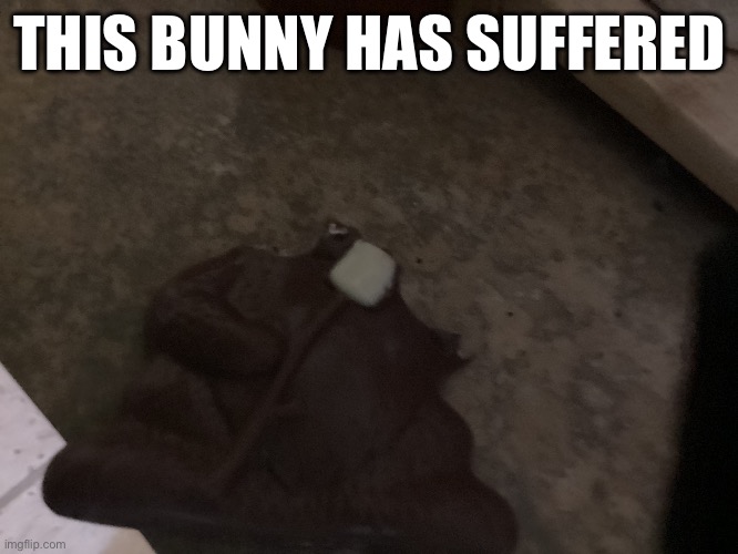 Pretty bad ngl | THIS BUNNY HAS SUFFERED | image tagged in meh | made w/ Imgflip meme maker
