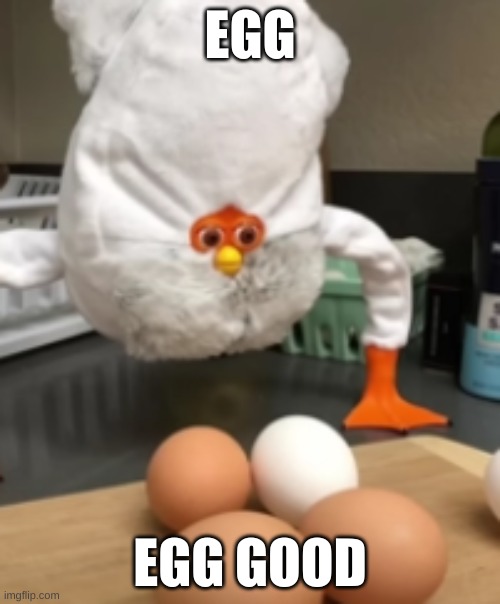 egg | EGG; EGG GOOD | image tagged in eggs | made w/ Imgflip meme maker