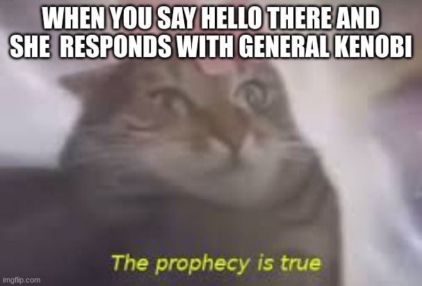 The prophecy is true | WHEN YOU SAY HELLO THERE AND SHE  RESPONDS WITH GENERAL KENOBI | image tagged in the prophecy is true | made w/ Imgflip meme maker