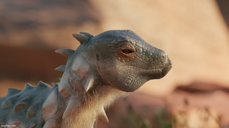 Jakapil, the skrunkly | made w/ Imgflip meme maker