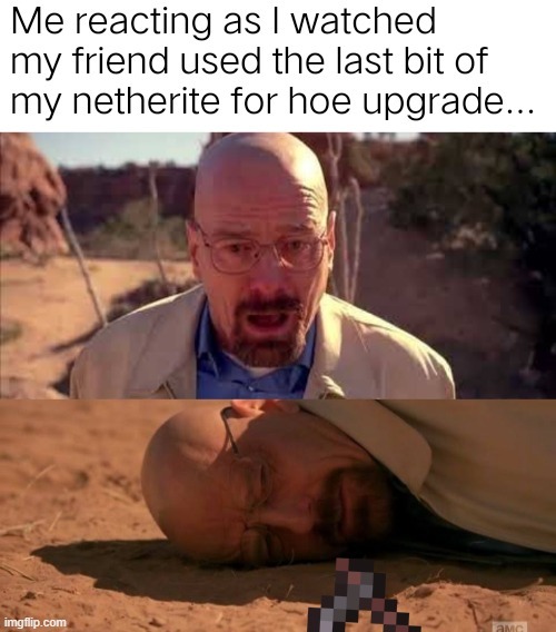 image tagged in minecraft,memes,funny | made w/ Imgflip meme maker