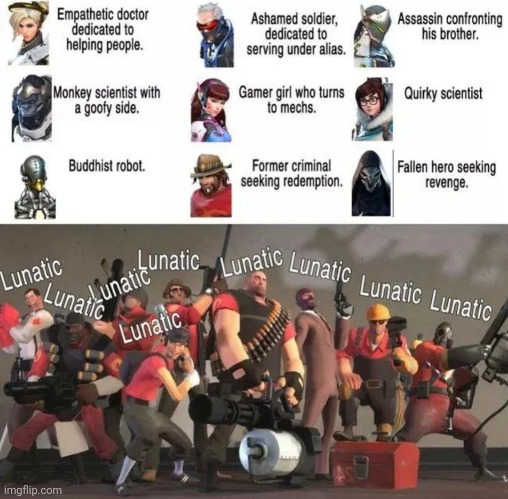 Lunatics (Credit to "The Panacek" on YT) | image tagged in tf2 | made w/ Imgflip meme maker