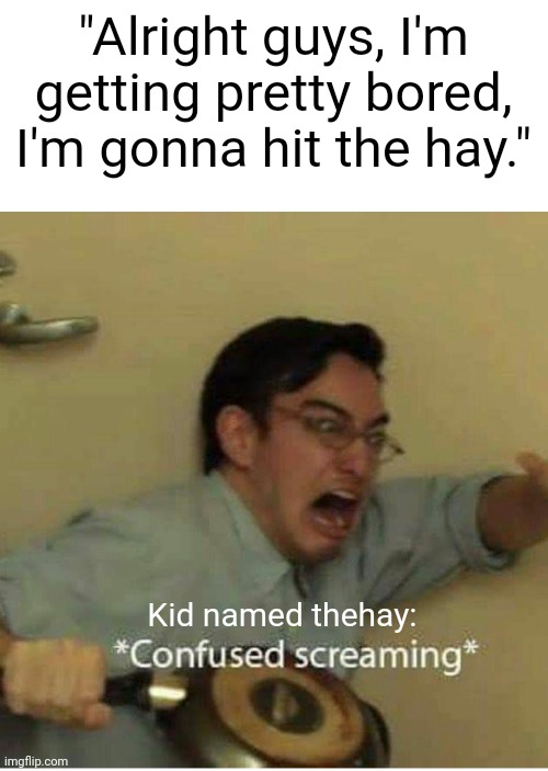 confused screaming | "Alright guys, I'm getting pretty bored, I'm gonna hit the hay."; Kid named thehay: | image tagged in confused screaming | made w/ Imgflip meme maker