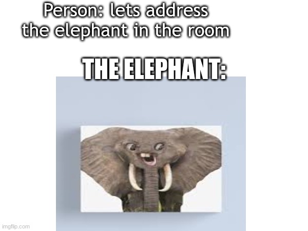 elephants... | Person: lets address the elephant in the room; THE ELEPHANT: | image tagged in elephant in the room | made w/ Imgflip meme maker