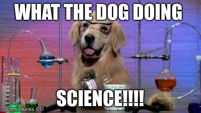Lab dog | WHAT THE DOG DOING; SCIENCE!!!! | image tagged in lab dog | made w/ Imgflip meme maker