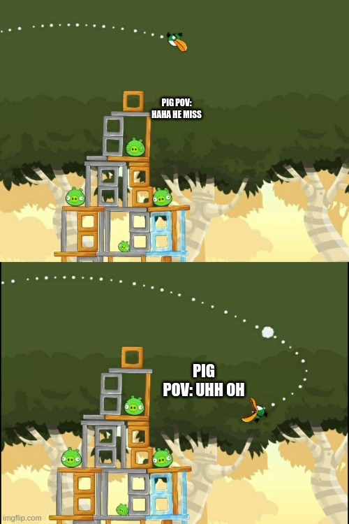 yea true | PIG POV: HAHA HE MISS; PIG POV: UHH OH | image tagged in angry birds boomerang | made w/ Imgflip meme maker