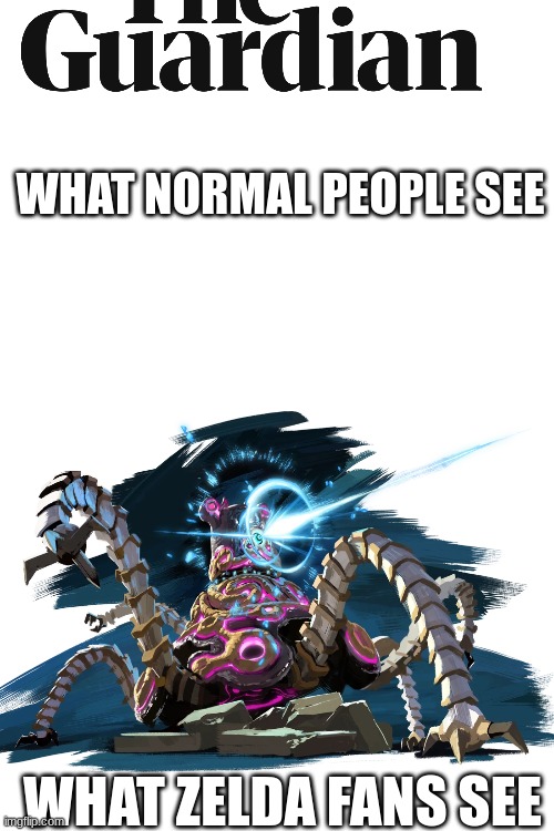 whyyy | WHAT NORMAL PEOPLE SEE; WHAT ZELDA FANS SEE | image tagged in the legend of zelda | made w/ Imgflip meme maker