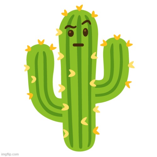 suspicious cactus | image tagged in suspicious cactus | made w/ Imgflip meme maker