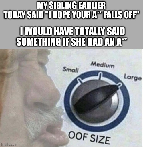 OOF | MY SIBLING EARLIER TODAY SAID "I HOPE YOUR A** FALLS OFF"; I WOULD HAVE TOTALLY SAID SOMETHING IF SHE HAD AN A** | image tagged in oof size large | made w/ Imgflip meme maker