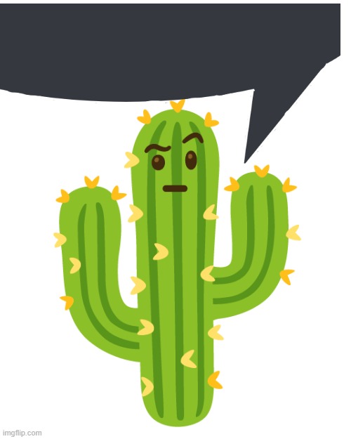 idfk | image tagged in suspicious cactus | made w/ Imgflip meme maker