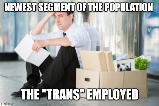 Stays at home, supported by government | NEWEST SEGMENT OF THE POPULATION; THE "TRANS" EMPLOYED | image tagged in unemployed | made w/ Imgflip meme maker