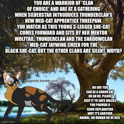 Warrior Cats rp! | YOU ARE A WARRIOR OF *CLAN OF CHOICE* AND ARE AT A GATHERING WHEN SILVERSTAR INTRODUCES THUNDERCLAN’S NEW MED-CAT APPRENTICE THREEPAW. YOU WATCH AS THIS YOUNG 3-LEGGED SHE-CAT COMES FORWARD AND SITS BY HER MENTOR WOLFTAIL. THUNDERCLAN AND THE SHADOWCLAN MED-CAT JAYWING CHEER FOR THE BLACK SHE-CAT, BUT THE OTHER CLANS ARE SILENT. WDYD? NO ERP, YOU CAN BE A CANON CAT OR AN OC, PLEASE KEEP IT TO CATS UNLESS YOU PROVIDE A GOOD EXPLANATION WHY IT’S ANOTHER ANIMAL. NO HUMAN OR VEHICLE OCS | made w/ Imgflip meme maker