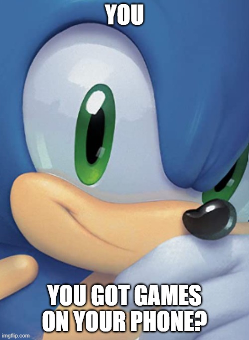 you got games on your phone (sonic edition) | YOU; YOU GOT GAMES ON YOUR PHONE? | image tagged in sonic's questionable stare,phone | made w/ Imgflip meme maker