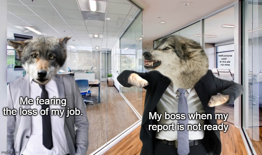 My Boss and Me | Me fearing the loss of my job. My boss when my report is not ready | image tagged in angry wolf manager,boss,report,office humor,funny mewmes,wolf | made w/ Imgflip meme maker