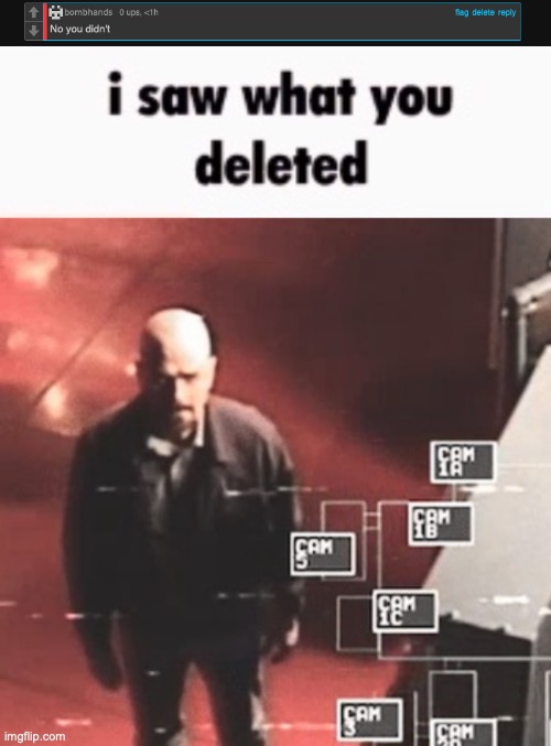 image tagged in i saw what you deleted | made w/ Imgflip meme maker