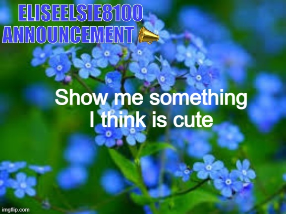 EliseElsie8100 Announcement | Show me something I think is cute | image tagged in eliseelsie8100 announcement | made w/ Imgflip meme maker