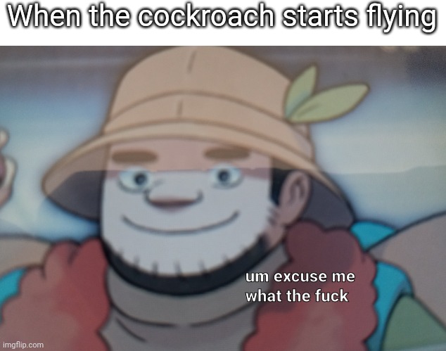 Pokémon Hiker | When the cockroach starts flying | image tagged in pok mon hiker | made w/ Imgflip meme maker