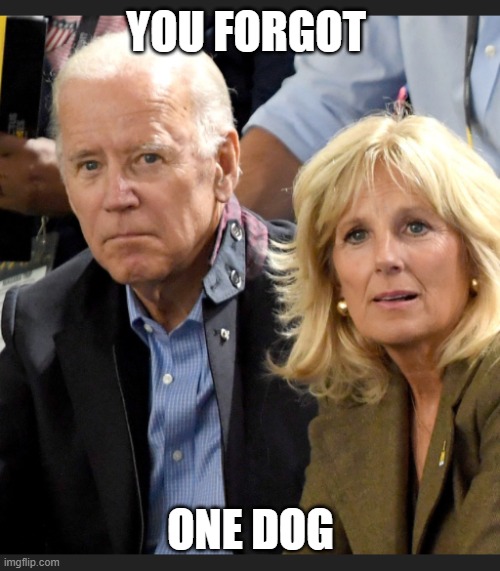 Joe and Jill Biden | YOU FORGOT ONE DOG | image tagged in joe and jill biden | made w/ Imgflip meme maker