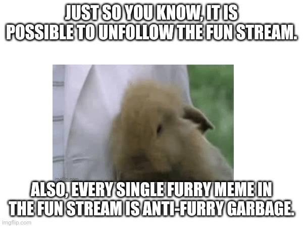 The rabbit is just for something to look at so it isn't boring | JUST SO YOU KNOW, IT IS POSSIBLE TO UNFOLLOW THE FUN STREAM. ALSO, EVERY SINGLE FURRY MEME IN THE FUN STREAM IS ANTI-FURRY GARBAGE. | image tagged in furry,rabbit | made w/ Imgflip meme maker