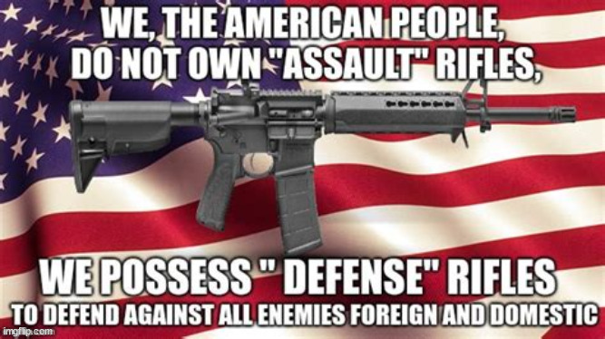 They need to call it Assault...   Law abiding citizens call if Defense...  they're not the ones doing the assaulting. | image tagged in 2nd amendment,defense,rifle | made w/ Imgflip meme maker