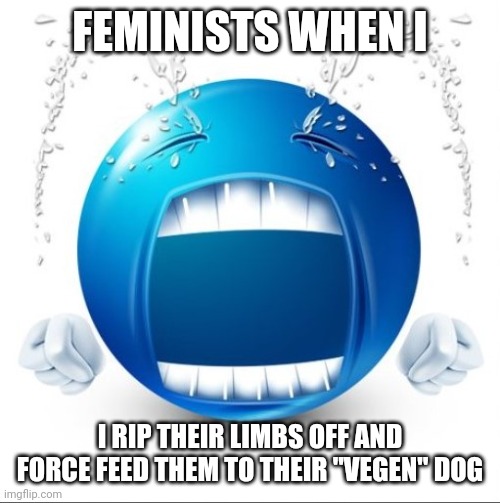 Crying Blue guy | FEMINISTS WHEN I I RIP THEIR LIMBS OFF AND FORCE FEED THEM TO THEIR "VEGEN" DOG | image tagged in crying blue guy | made w/ Imgflip meme maker