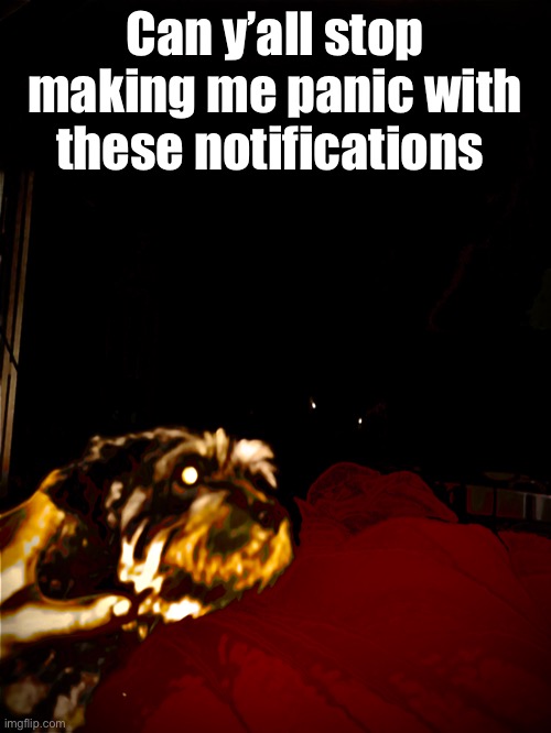 Please | Can y’all stop making me panic with these notifications | made w/ Imgflip meme maker