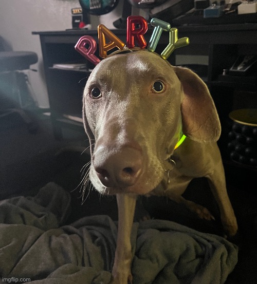 It’s his birthday | made w/ Imgflip meme maker