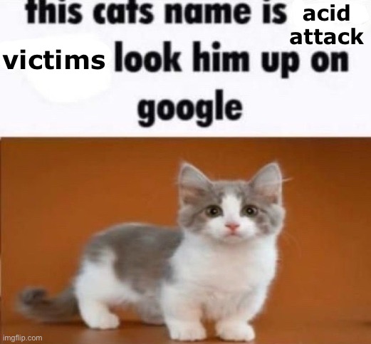 this cats name is x look him up on google | acid attack; victims | image tagged in this cats name is x look him up on google | made w/ Imgflip meme maker