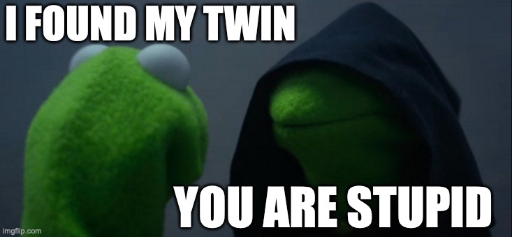 Evil Kermit | I FOUND MY TWIN; YOU ARE STUPID | image tagged in memes,evil kermit | made w/ Imgflip meme maker