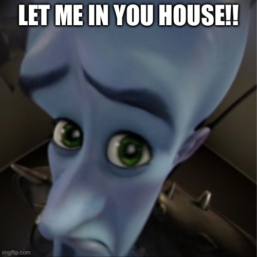 Megamind peeking | LET ME IN YOU HOUSE!! | image tagged in megamind peeking | made w/ Imgflip meme maker