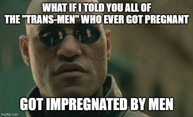 Matrix Morpheus Meme | WHAT IF I TOLD YOU ALL OF THE "TRANS-MEN" WHO EVER GOT PREGNANT GOT IMPREGNATED BY MEN | image tagged in memes,matrix morpheus | made w/ Imgflip meme maker