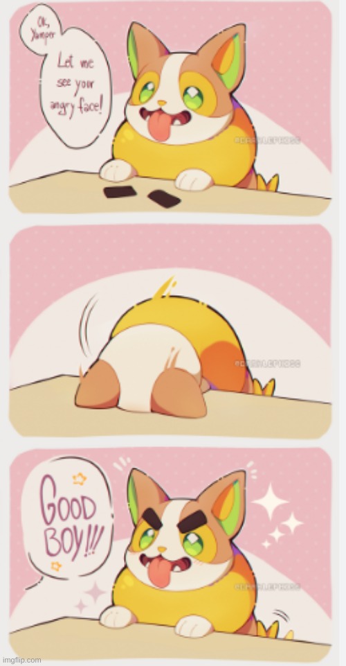 dose of yamper :D | image tagged in pokemon | made w/ Imgflip meme maker