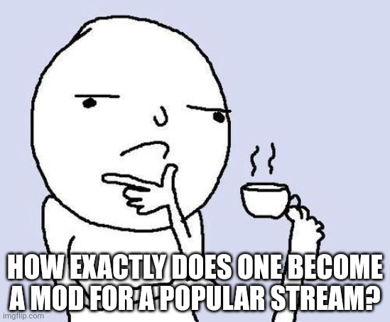 and why are they all top 250 people? | HOW EXACTLY DOES ONE BECOME A MOD FOR A POPULAR STREAM? | image tagged in hmm | made w/ Imgflip meme maker