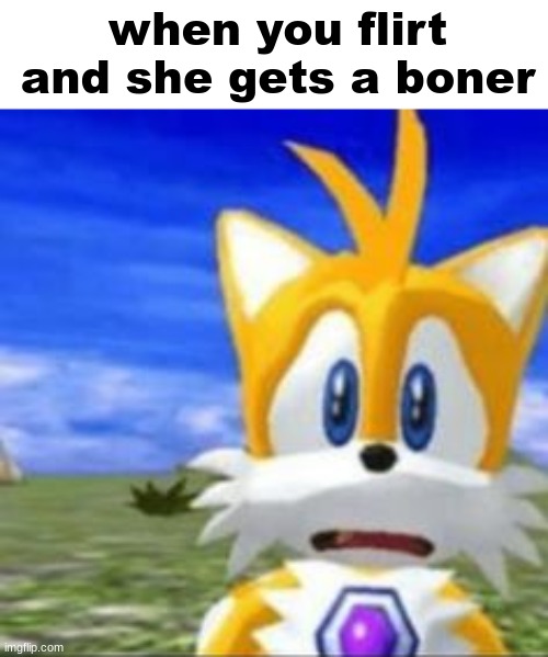 this is merely a meme. | when you flirt and she gets a boner | image tagged in tails distress | made w/ Imgflip meme maker