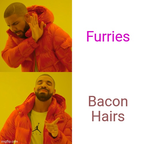 Drake Hotline Bling Meme | Furries Bacon Hairs | image tagged in memes,drake hotline bling | made w/ Imgflip meme maker